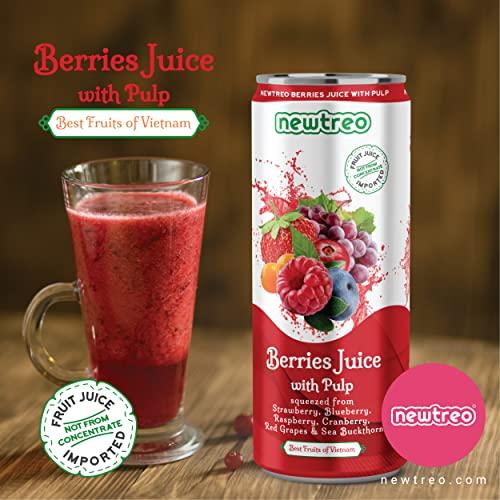 Newtreo Newtreo Berries Juice With Pulp | Imported from Vietnam | Strawberry, Blueberry, Raspberry, Cranberry, Red Grapes & Sea Buckthorn Juice | 12 x 250ml cans | No concentrates or preservatives added