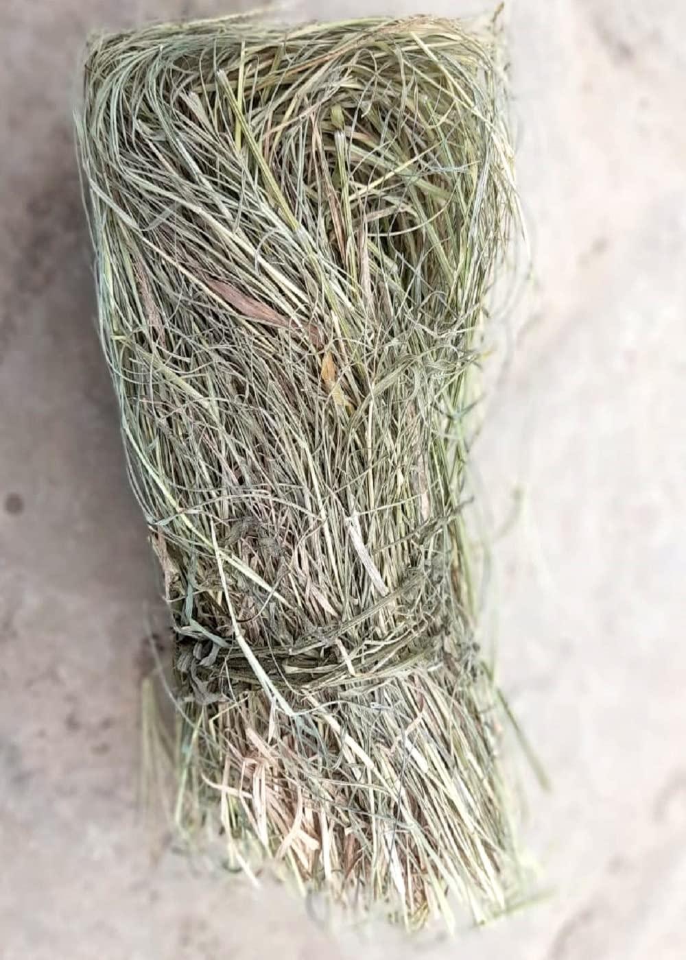 indianvedic Dried Dry Doob Ghaas Durva Grass Bahama Ghas Indian Couch Arugampul | Cynodon dactylon 250gm