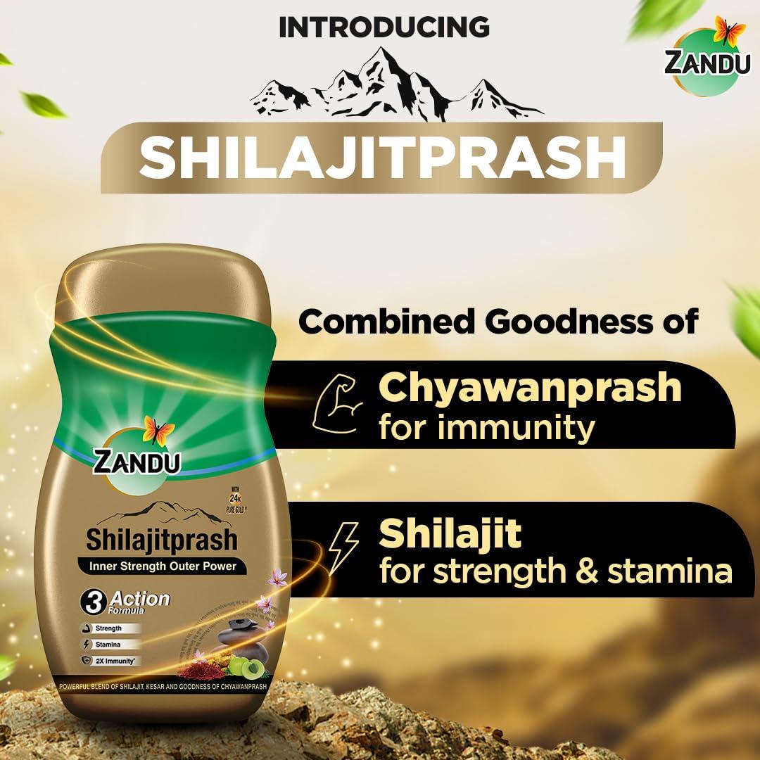 Zandu Zandu Shilajitprash 450g | Shilajit + Chyawanprash Herbs| 3 Action formula to Boost Immunity, Strength and Stamina| A Powerhouse of 47 potent Ayurvedic herbs like Shilajit, Gold,Kesar, Ashwagandha