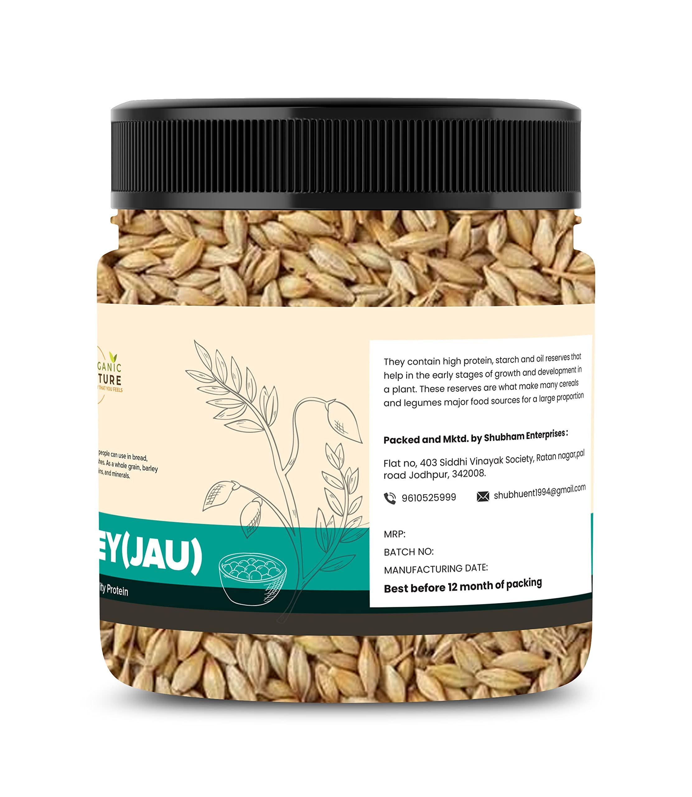 ORGANIC NATURE Organic Nature Raw Barley Seeds (Jau) 400 Grams Barley Grain