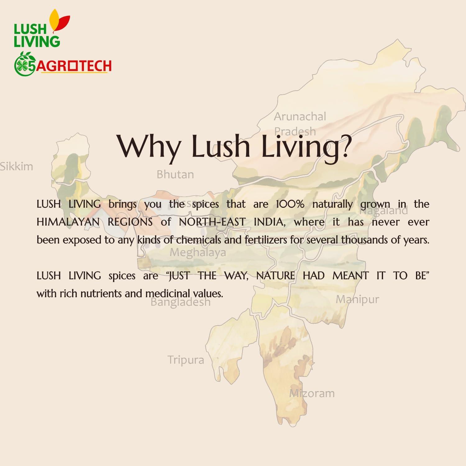 LUSH LIVING LUSH LIVING Premium Toor Dal/Tur Daal 400g | Unpolished Arhar Daal | High in Protein | From Assam Farm | For Healthy Digestive System | Gluten, Chemical & Peticide Free |