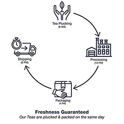 Mann Tea Mann Tea Kangra Green Tea Loose Leaf Himalayan Whole Leaf Tea, 250 g