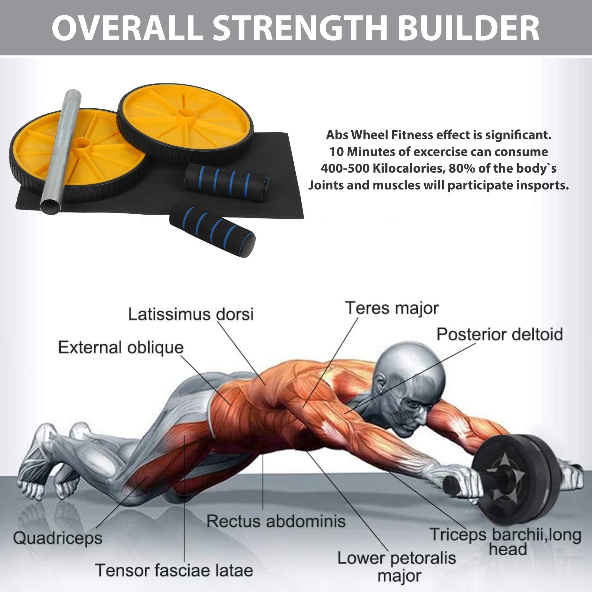 Virtual World VIRTUAL WORLD Double Ab Wheel Roller Pro Abdominal and Resistance Loop Bands for Men and Women color as per stock