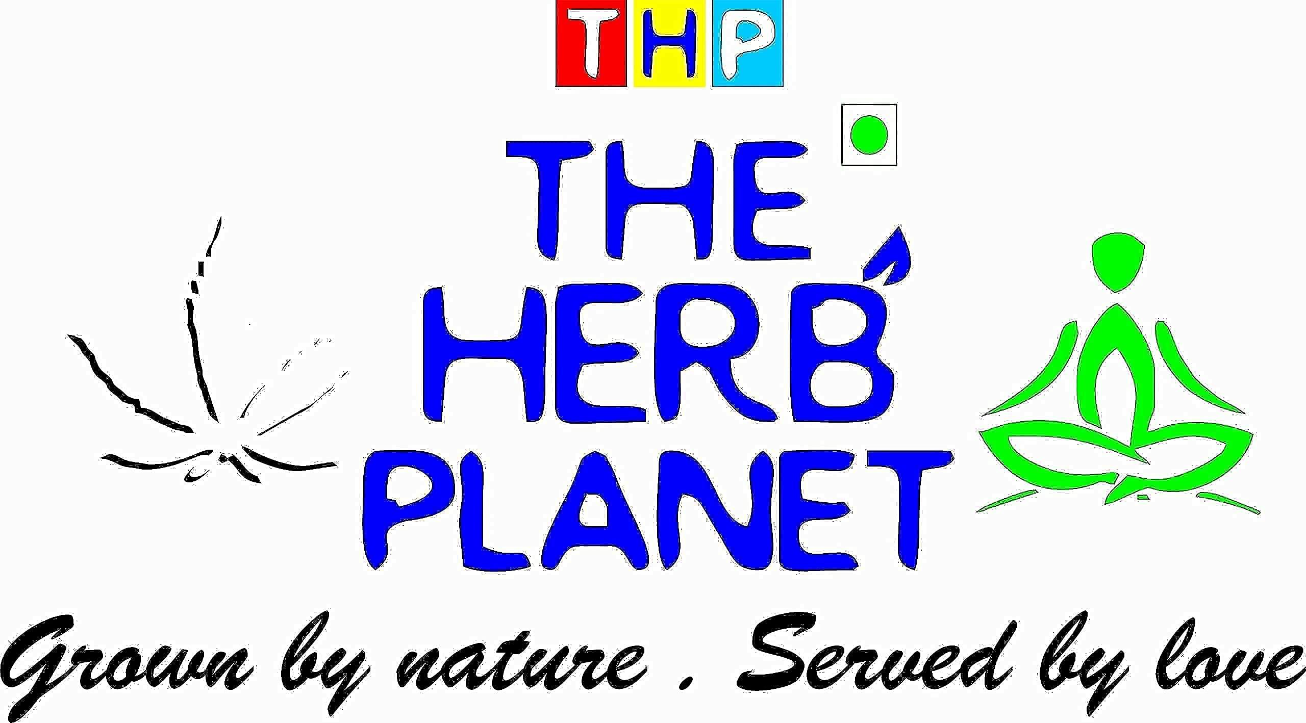 THE HERB PLANET THE HERB PLANET Whole Mace - Javitri (Japatri) 100 gms|Indian Spices Masala Jayphal