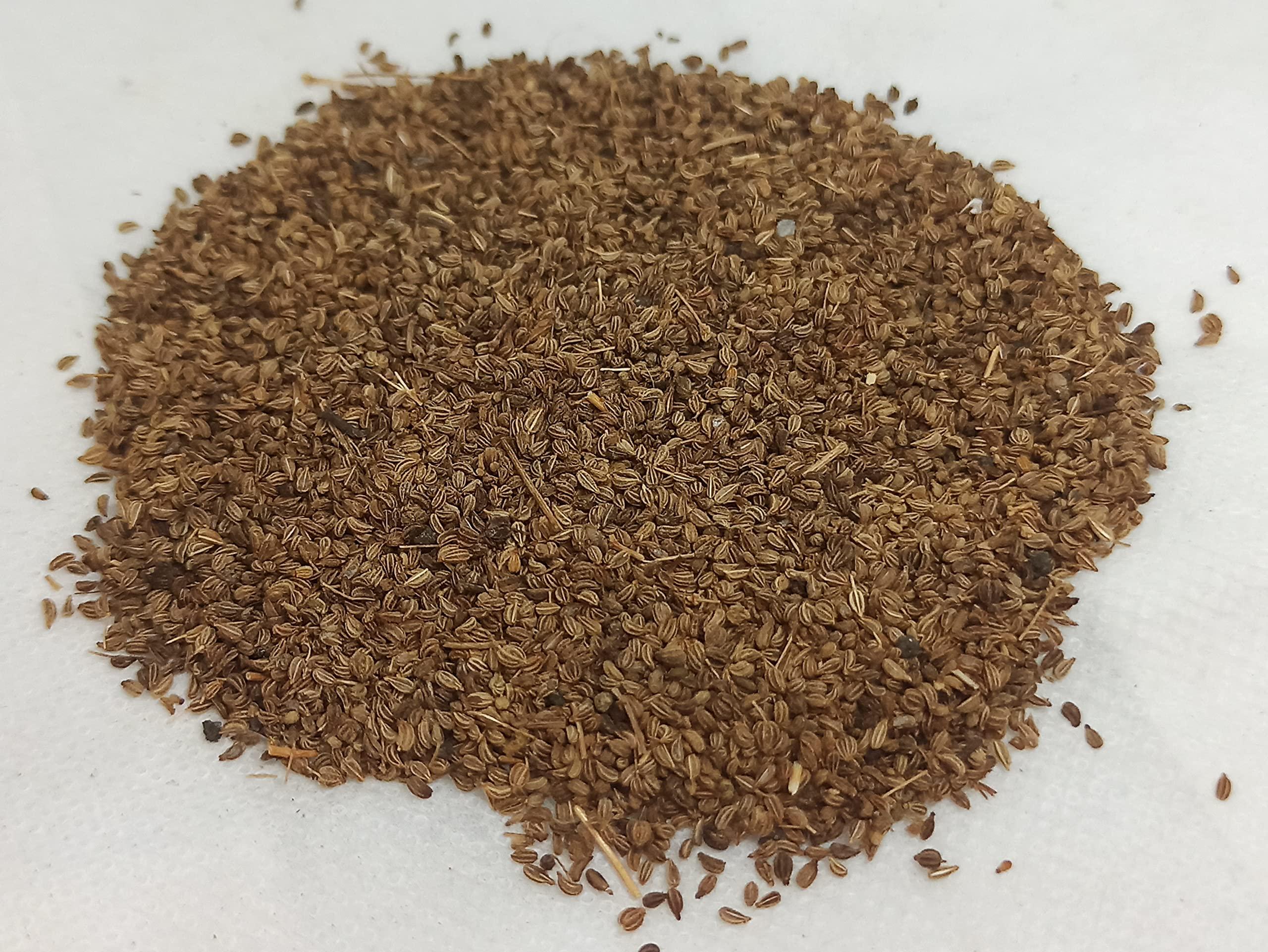 Generic NATURALIFES-*OMAM*- / Ajowan Caraway Dried / I Trachyspermum Roxburghianum I / Khurosani OMAM I / Khurosani Ajowan Seeds I Ayamodakam (250 Grams)