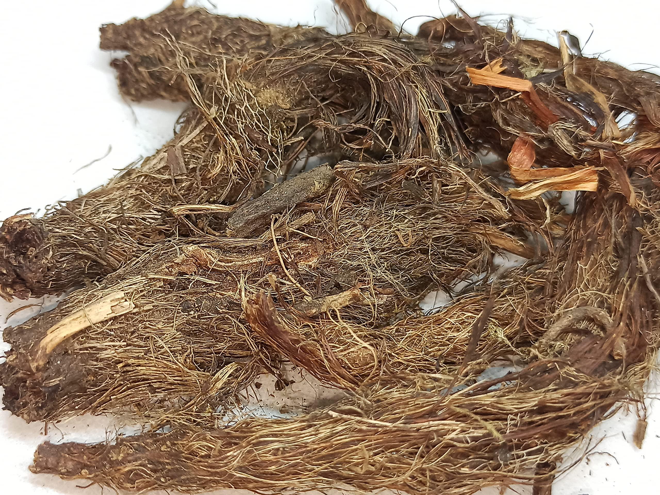 NATURALIFE NATURALIFE\'S-*JADAMANJI*-Jatamansi I Tapaswani and Bhytajata I Indian spikenard, Musk-root, and Indian nard I Nard Indian I Balchara I Jatamavshi I Jatamamsi I Bhutijata I Billilotan (100 GRAMS)