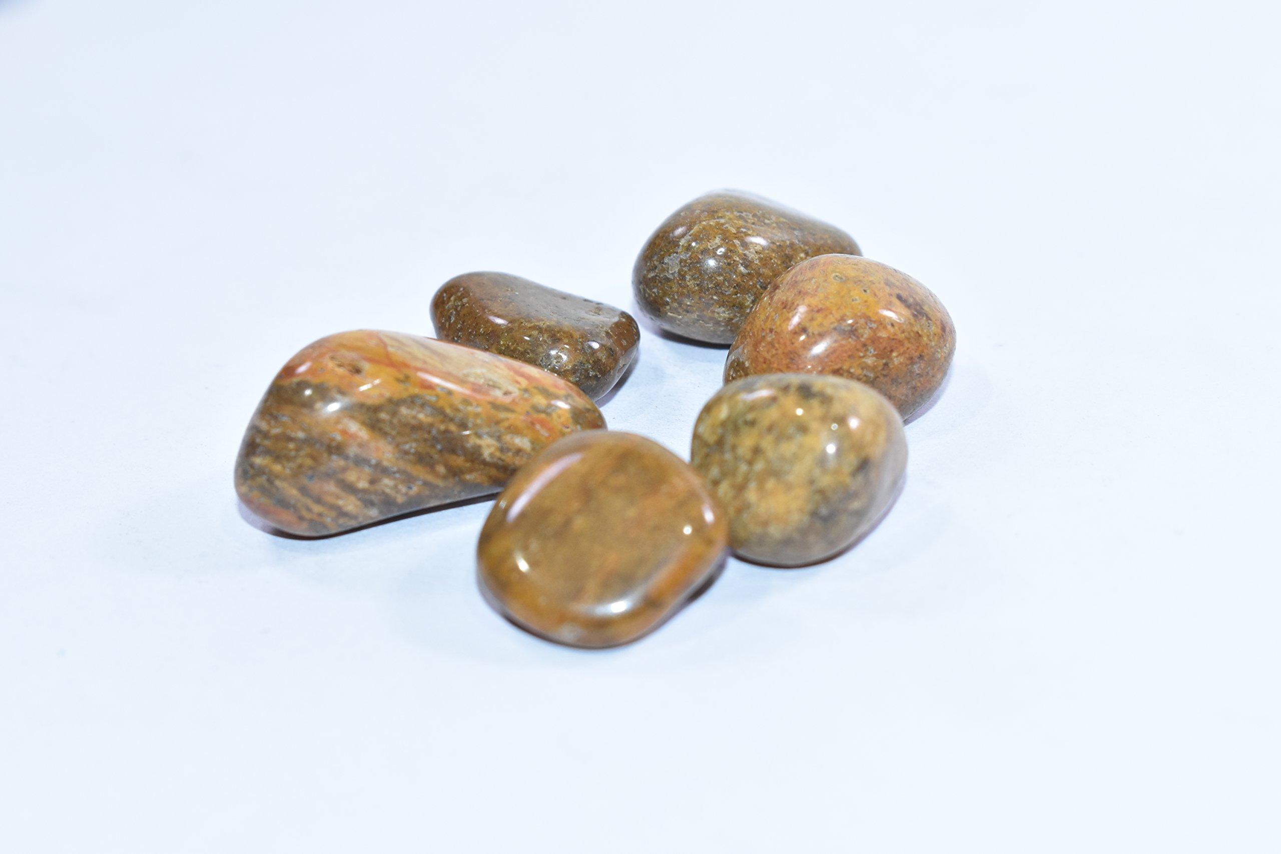 Rameshchand Trading Natural Camel Jasper Polished Tumbled Set of 5 Stone Chakra & Reiki Healing Manifestation Stone Meditation Crystal Pocket Stone