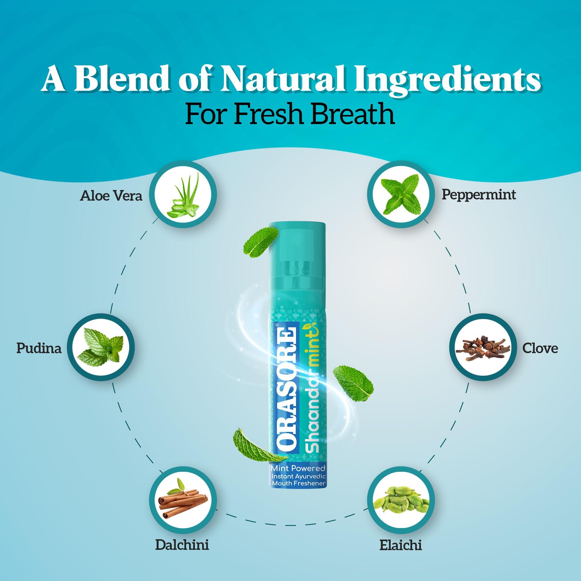 ORASORE Shaandar Mint Instant Mouth Freshener Spray by Orasore | Pudina, Aloe Vera, Peppermint, Cinnamon, Clove & Elaichi | Amazing Cool Breath Freshening with Zero Calories & Anti Bacterial Protection | 15g Pack