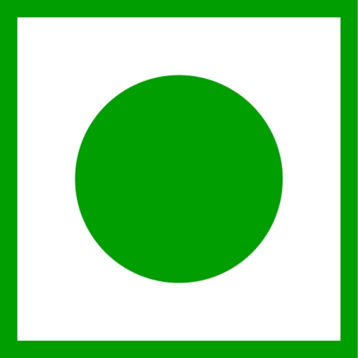 India's Creation Jodhpur Khareti Seeds-Abutilon Indicum-Raw Herbs- Kharaiti Beej - Balaa Beej - Atibala - Jadi Booti - Single Herbs (400 Gram)