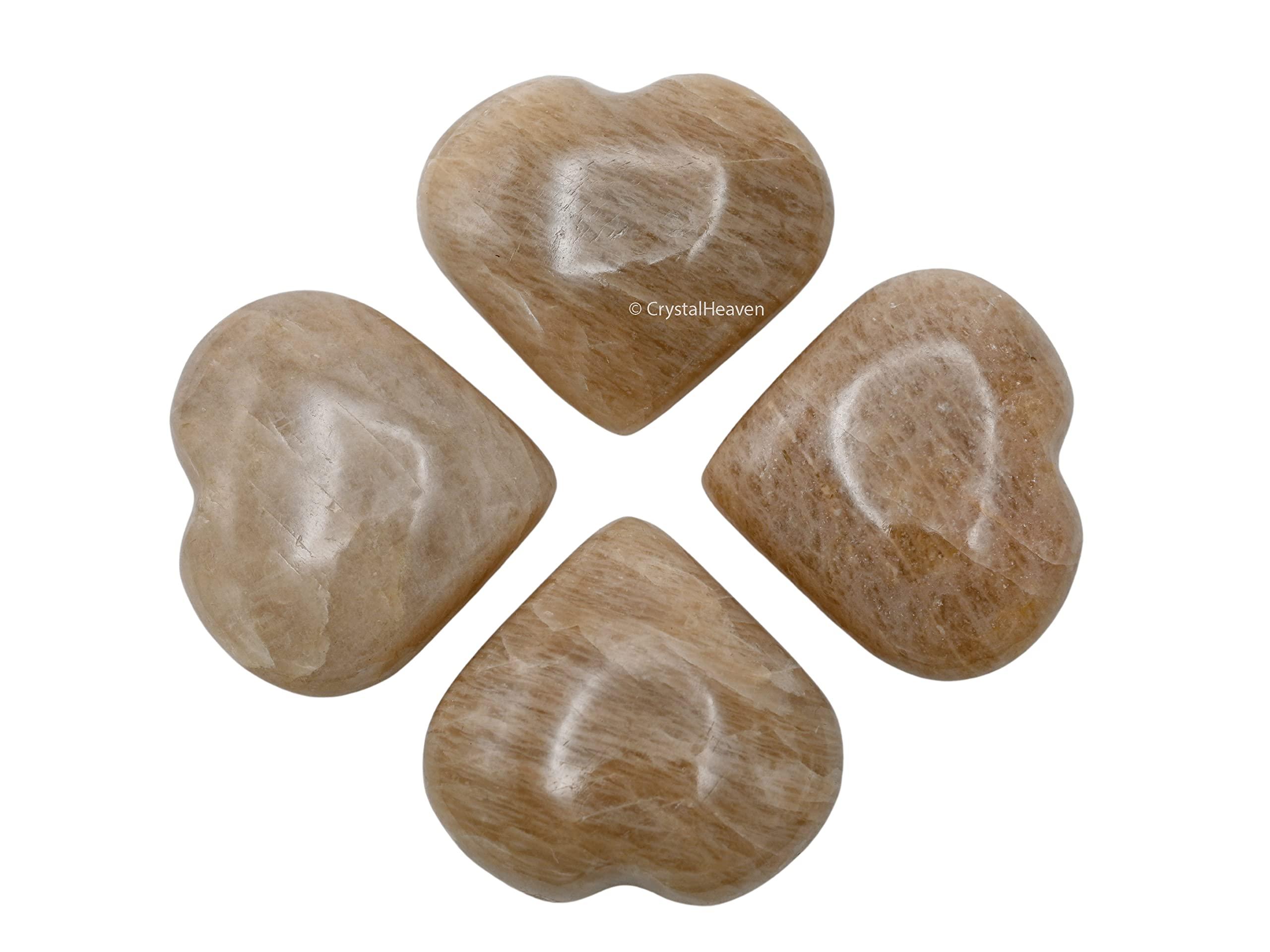 OZiva OZiva Daily Protein Activ for Women | Best Protein Powder for Women with 120g Protein, Probiotics, Shatavari for Increased Energy Levels, Bone Health and Hormonal Balance 300g (Chocolate, Pack 1)