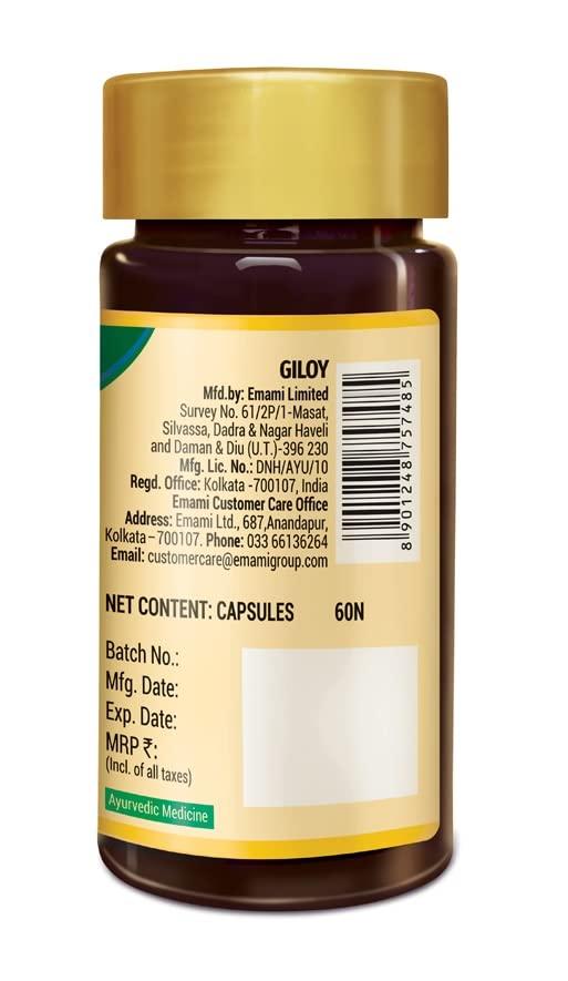 Zandu Zandu Giloy Capsules (Guduchi) 120 Veg Capsules, Natural Giloy Extract, Antioxidant Properties, Immunity Booster, Health and Wellness with 2X Immunity (Pack of 60 caps x 2)