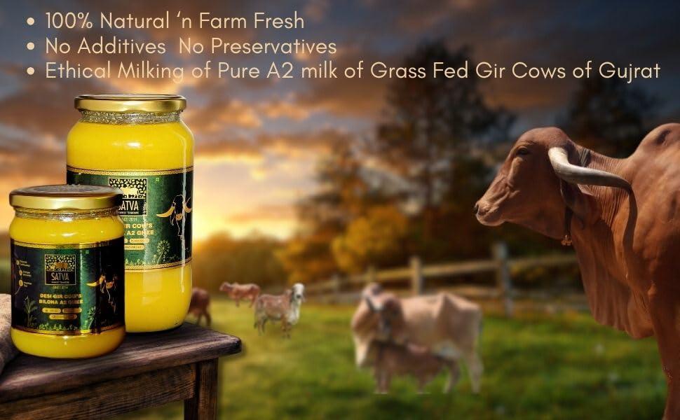 KRISHI MANTRA KRISHI MANTRA A2 BILONA GHEE - 1 Litre Pure Gir Cow\'s A2 Ghee for Immunity, Vitality, and Better Digestion - Rich in A2 Protein and Vitamin K - Experience the Benefits of Traditional Bilona A2 Ghee Today! 1000 ML + 500 ML