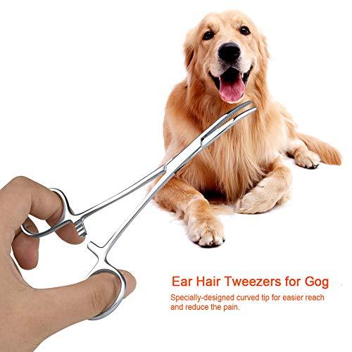 cigemay Remove Ear Hair, Dog Trimmer Accessories, Tweezers, Ear Clips, Curved Nose Cleaning Pliers, Grooming Scissors(Big)
