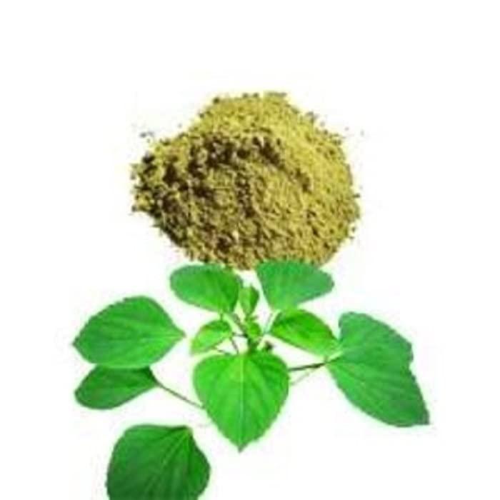 Dev Ayurvedic Dev Herbal Kuppaimeni | Acalypha Indica | Indian Nettle Extract Powder-100gm Pack. Pure Natural and Organic