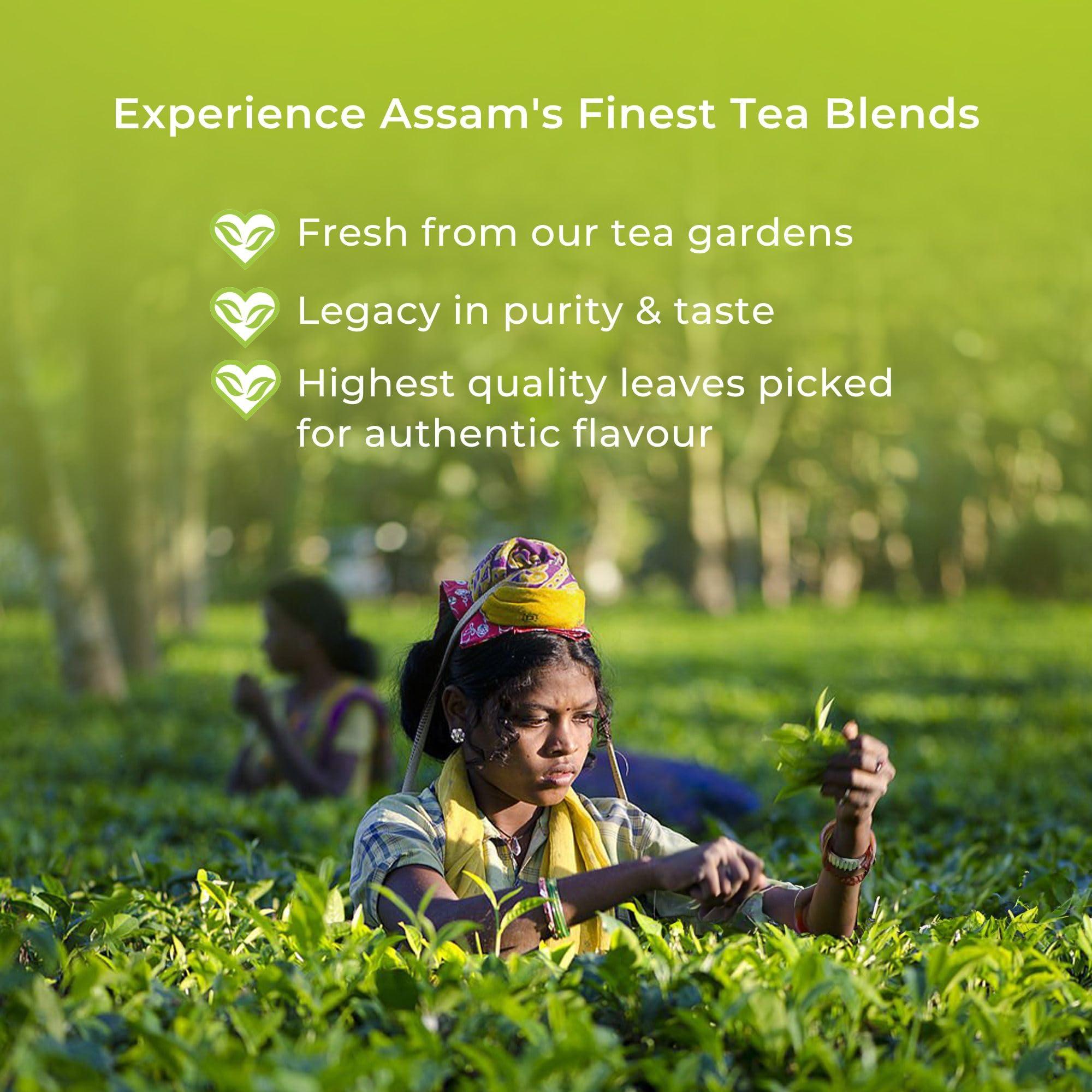 dryo Dryo Combo of Salted Pumpkin Seeds 230g & Seed Mix 250g