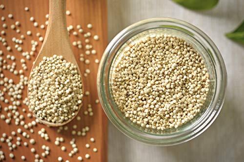 MARWAR Marwar Quinoa Seeds (Natural Organic, White, Protein Rich & Gluten Free Super-Food) 1 kg