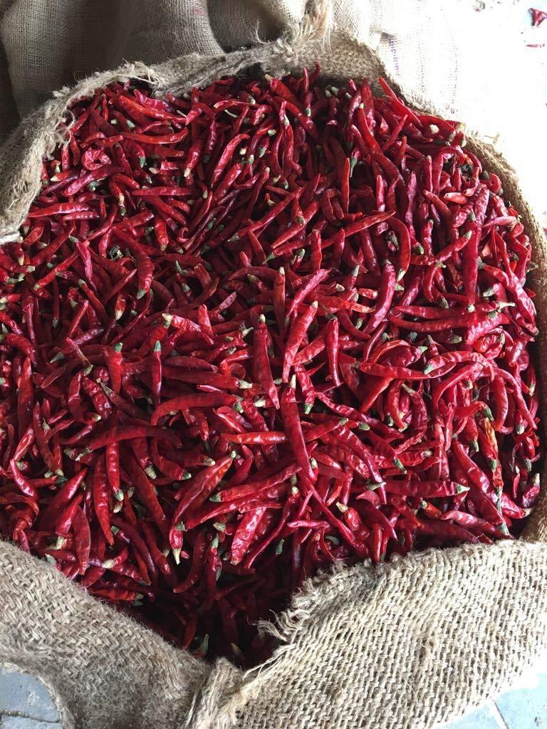 Kitchen Jungle Kitchen Jungle Mathania Red Chilli (Lal Mirch sabut) Whole Chillies 400gms