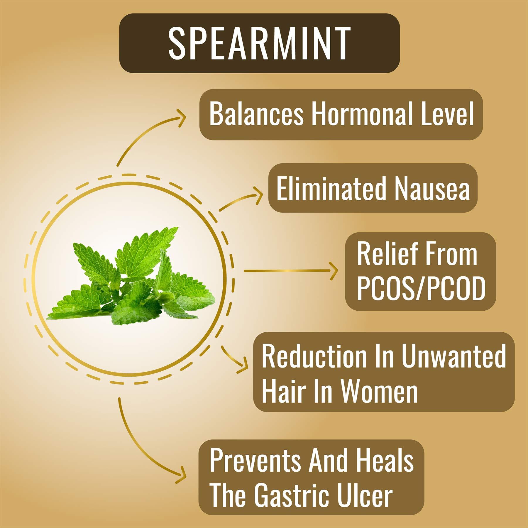 GODKA Godka Boriya Red Chilli/Boriya Mirch/GOL Mirch 400g