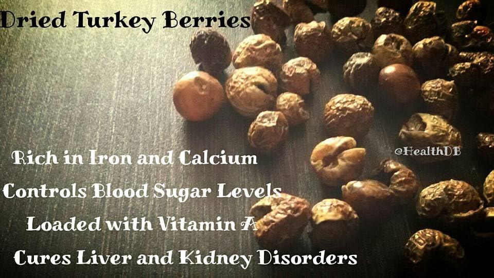 Seema Seema Sun Dried Turkey Berry, 100 Grams (sundakkai Vathal)