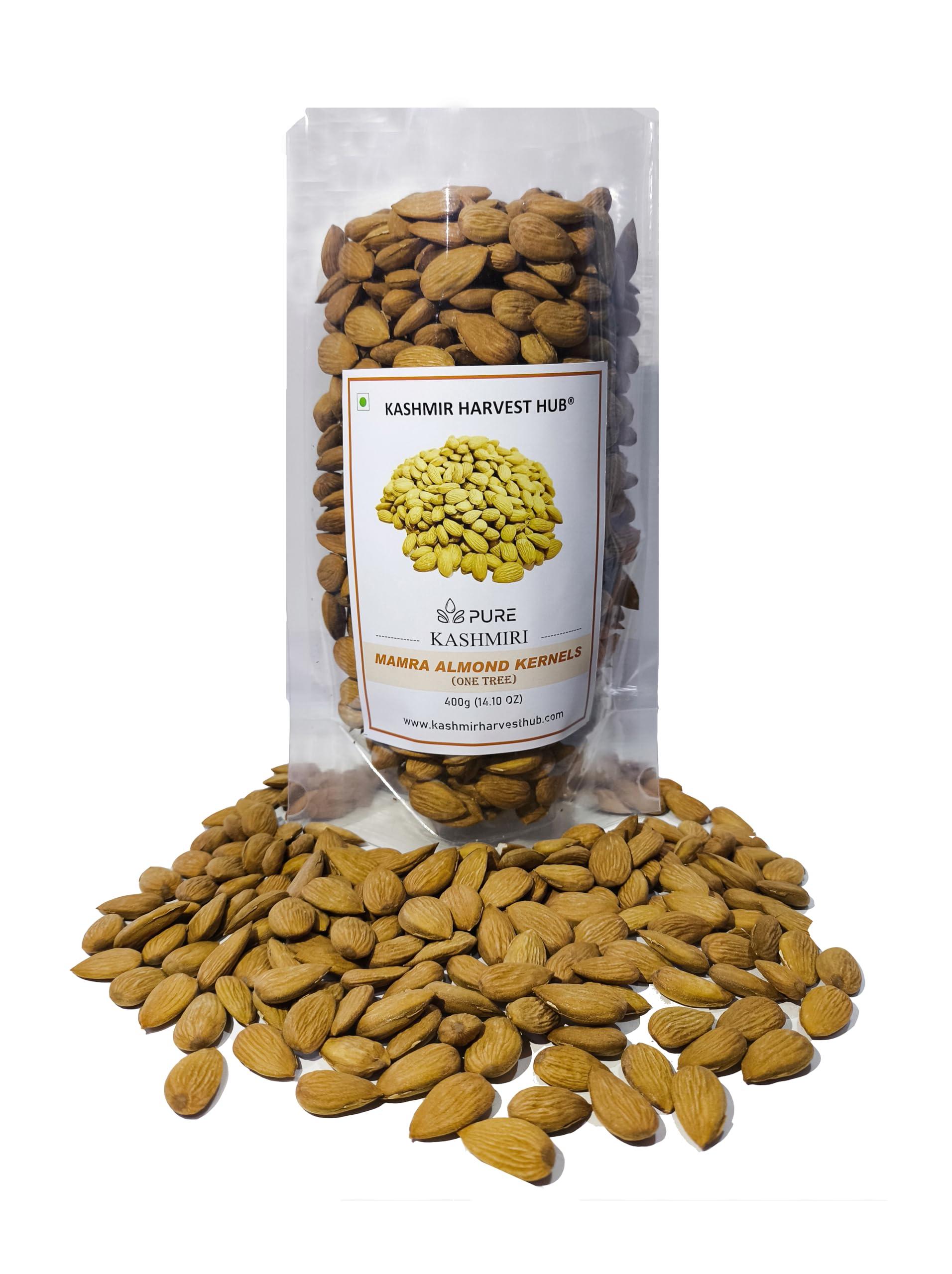 KASHMIR HARVEST HUB Kashmir Harvest Hub Pure Kashmiri Mamra Almonds - 400g | 100% Natural | Authentic | Organic | A++ Grade | Rich Oil Content (Pack of 1)