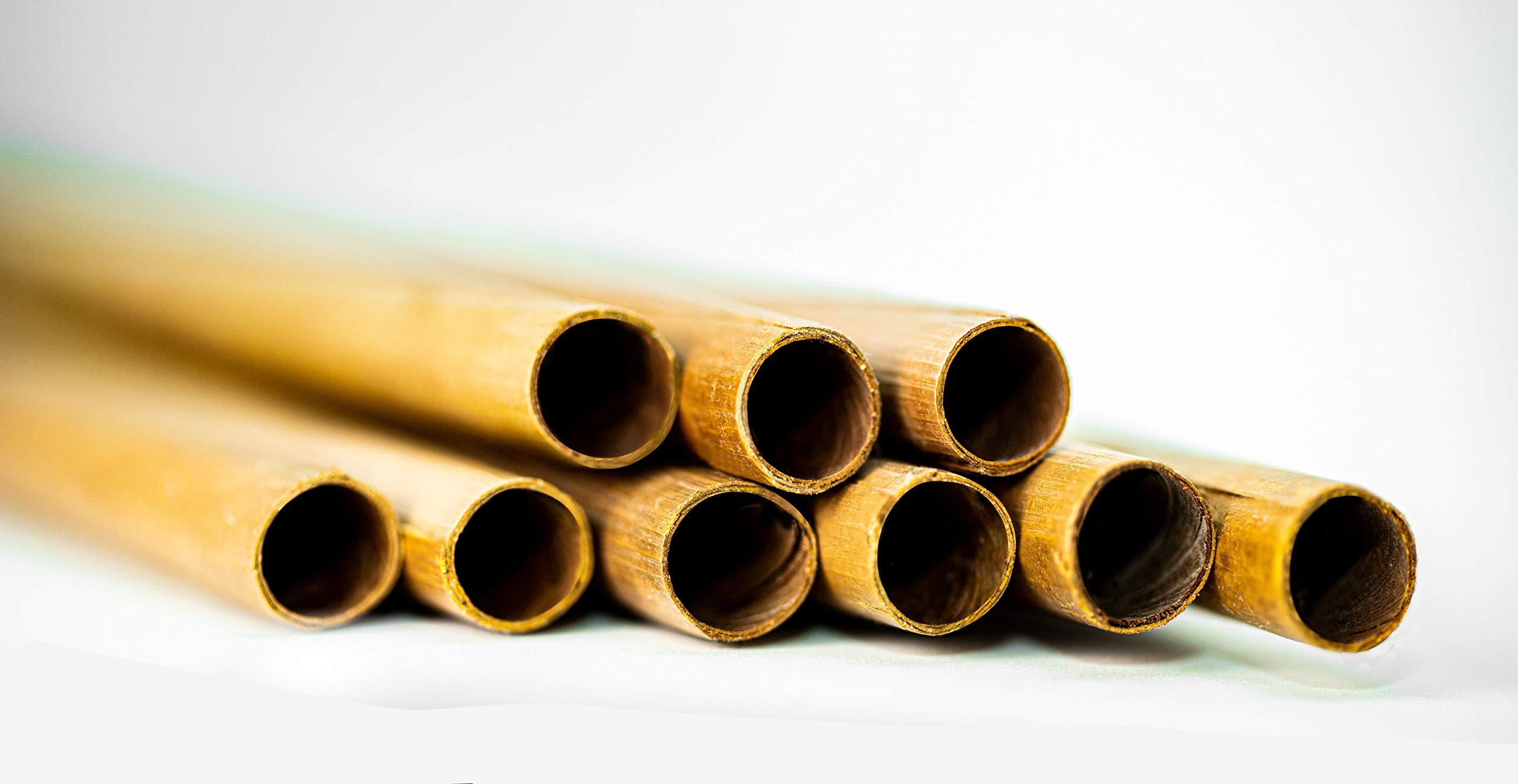 SUNBIRD SUNBIRD Coconut Leaf Drinking Straws, Organic, Biodegradable, Sustainable, Eco-Friendly Product (Regular Straw Diameter 6mm X Length 8\'\', Pack of 50)