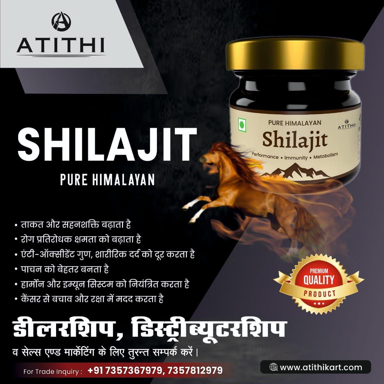 Baidyanath Asli Ayurved Baidyanath Asli Ayurved Himalayan Shilajit/Shilajeet Resin 20Gm - 100% Ayurvedic | Performance Booster For Endurance And Stamina