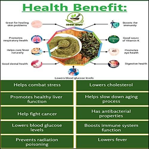 DIVINE HERBS DIVINE HERBS Tulsi Powder For Face Pack And Hair Growth,Hair Fall And Dandruff Control,Face Pack-100 GM