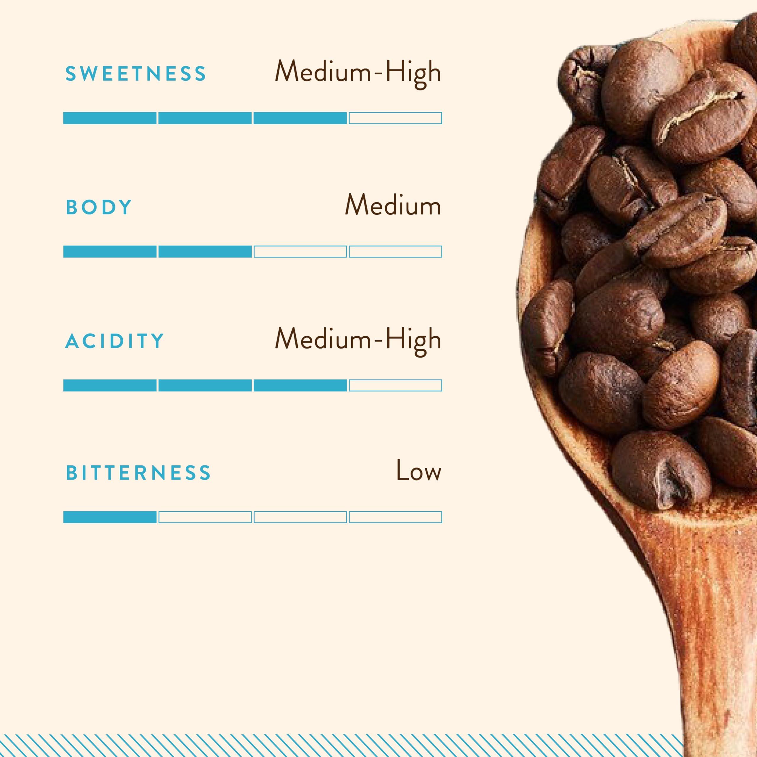 Blue Tokai Coffee Roasters Blue Tokai Coffee Roasters Cold Brew - Light Roast (South Indian Filter Grind) 500g | Made With 100% Specialty Grade Arabica Freshly Roasted Ground Coffee, Bag