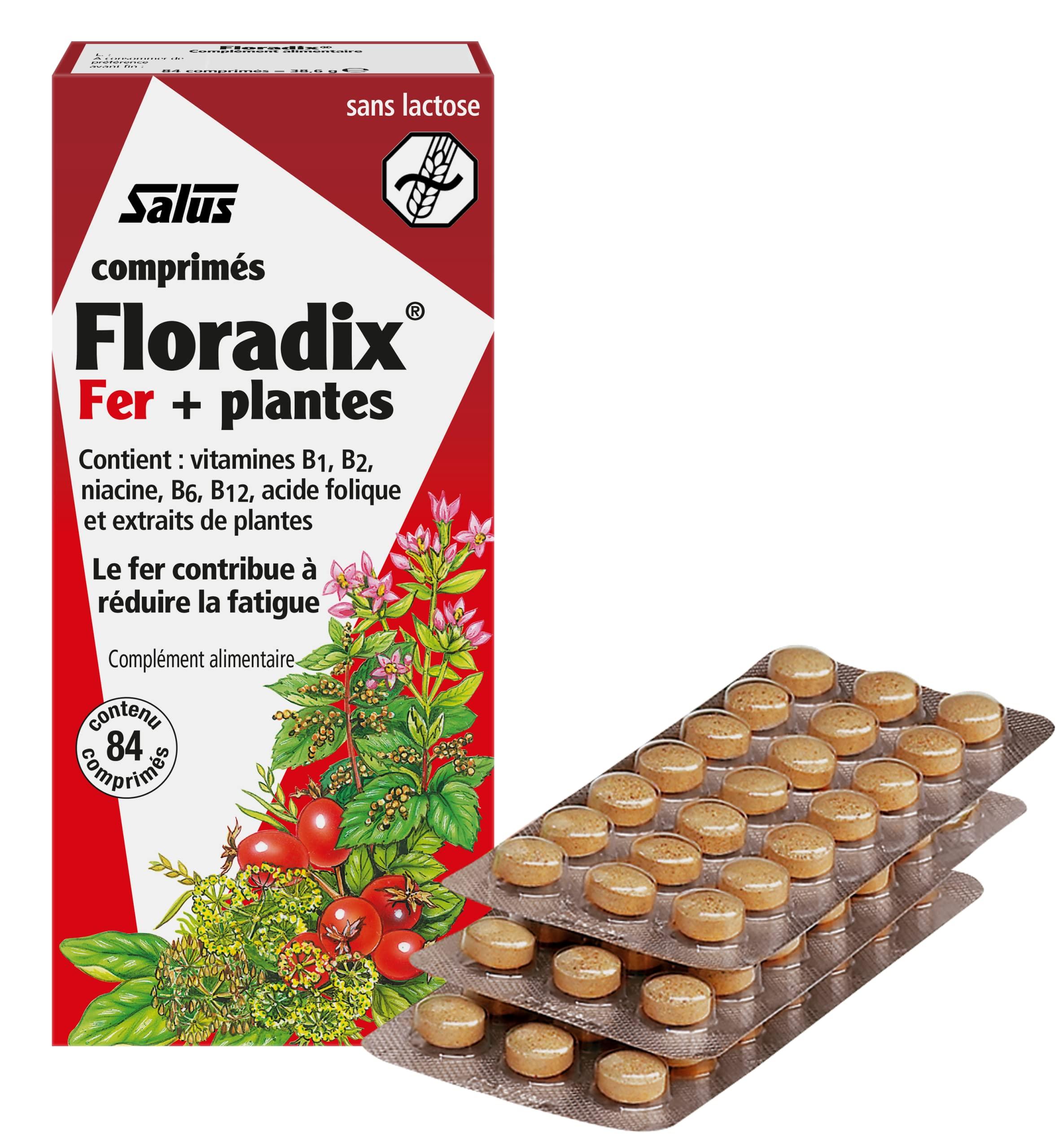 Floradix Floradix Iron 84 Tabs