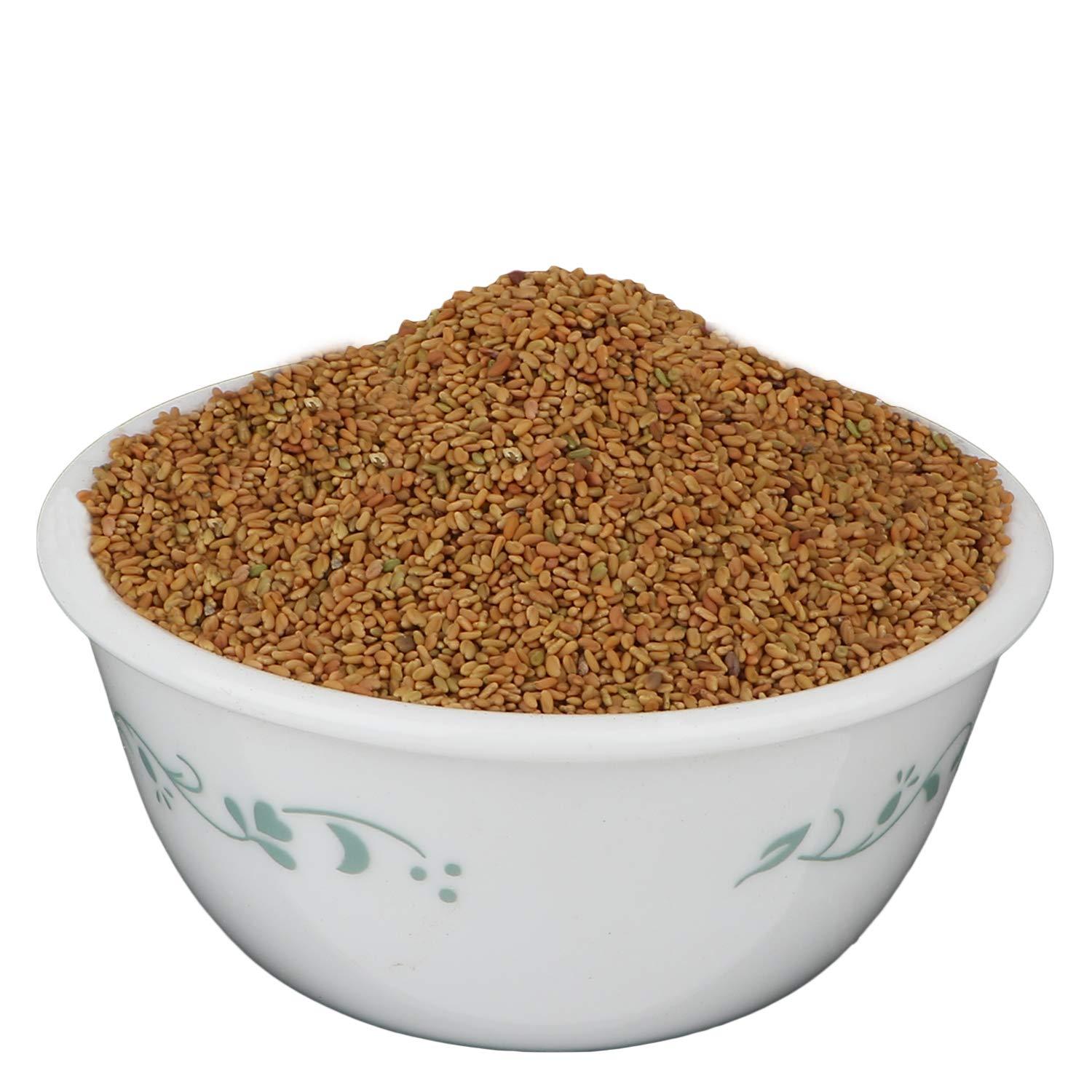 Yuvika YUVIKA Kasuri Methi Seeds - Champa Methi (100 Grams)