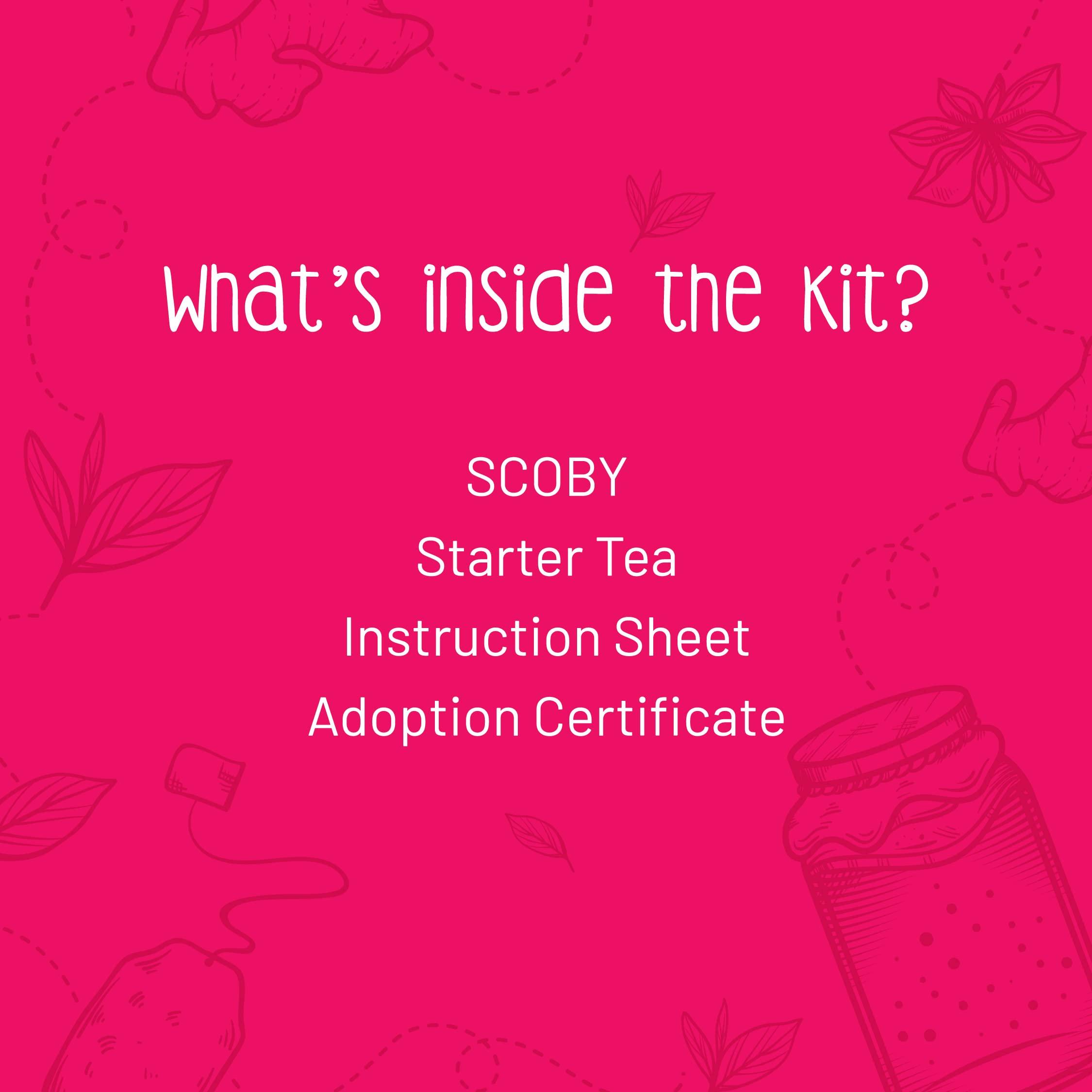 Zoh Zoh Probiotics Kombucha Scoby - Starter Culture With Mother - Live, Raw And Unfiltered - Diy Make Endless Batches- Lab Tested - No Vinegar Or Artificial Flavours Added