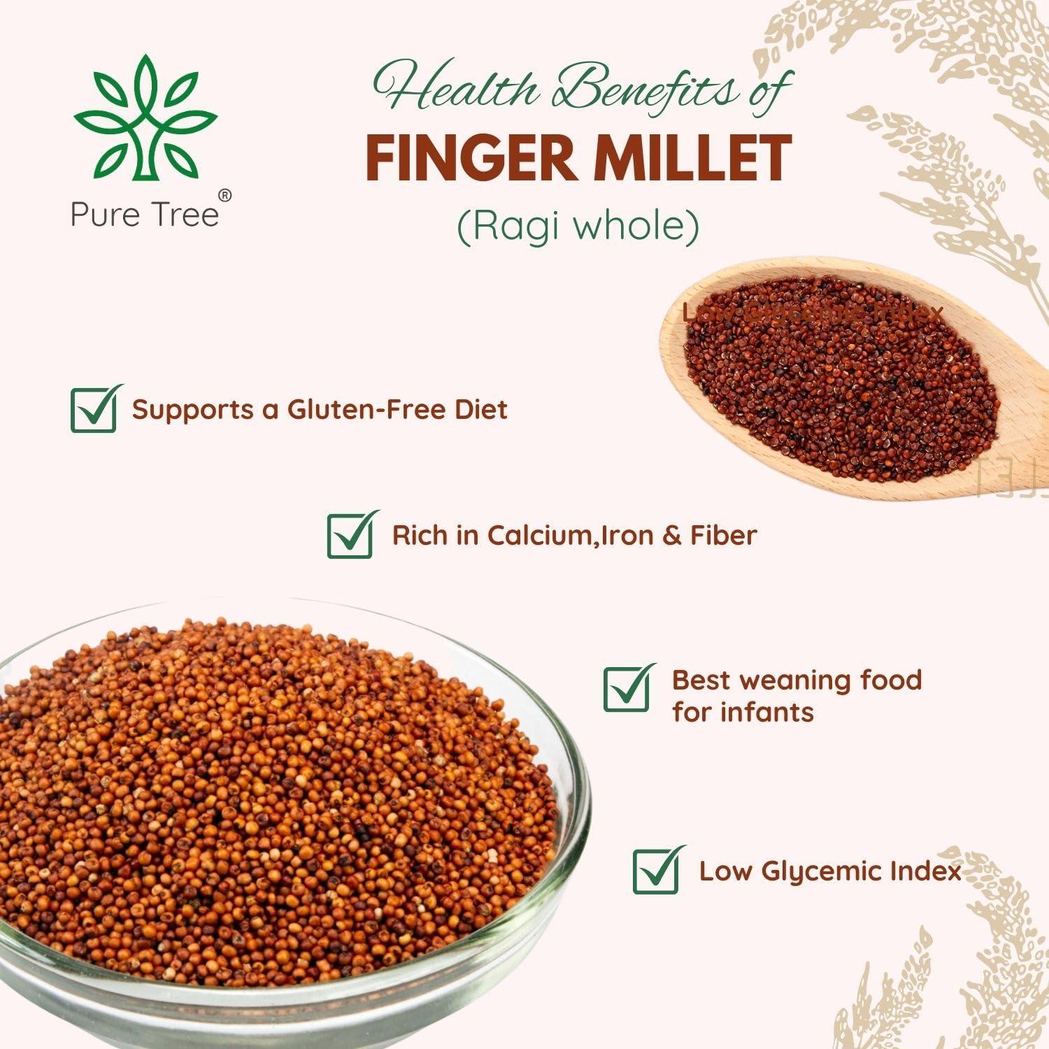 Pure Tree Pure Tree Certified Organic Ragi Whole | 1900 g | Finger Millet | Nachni | Nagli | Ragi Millet Gluten-Free | Bavto | Red Finger Millet | Ragi Whole Grain