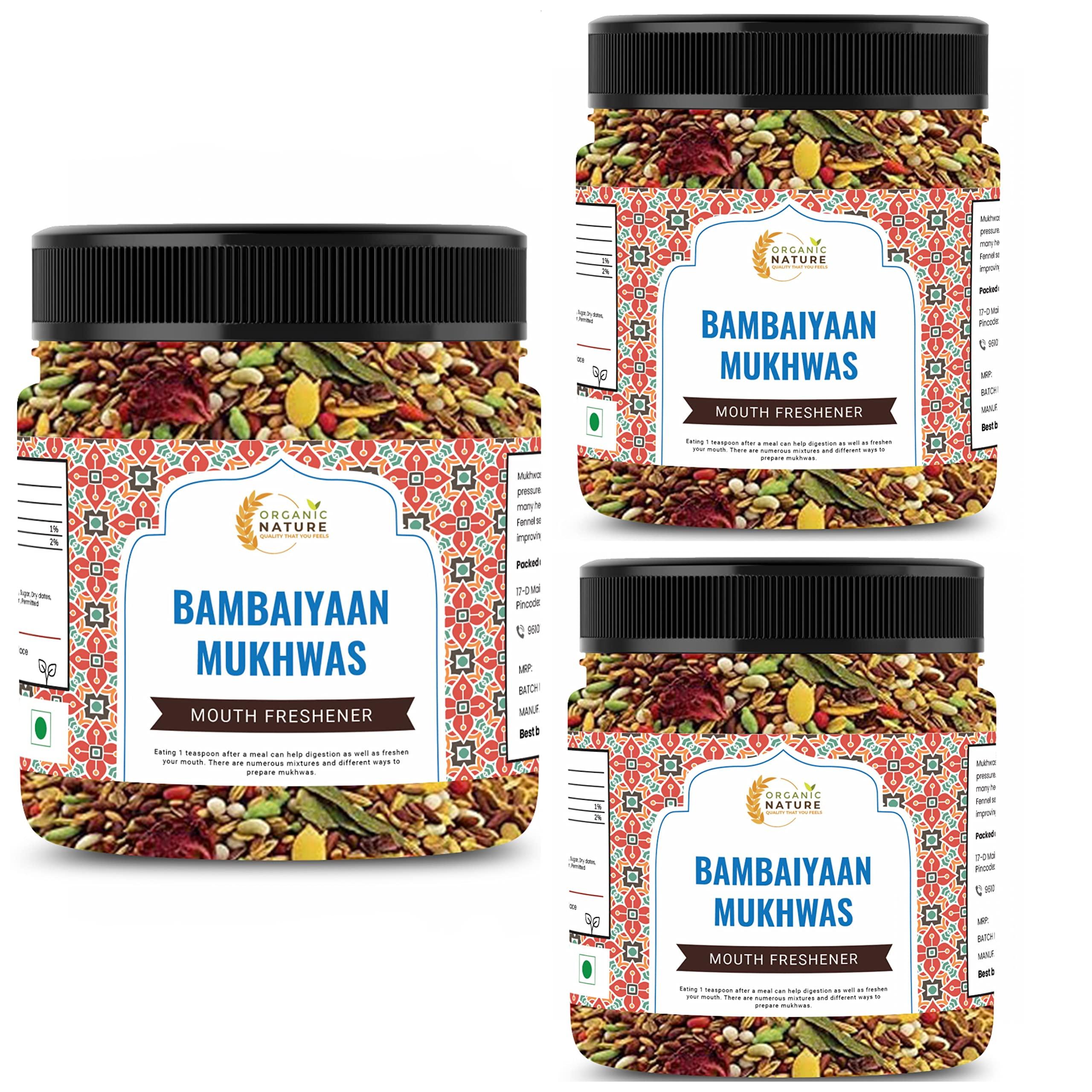 ORGANIC NATURE Organic Nature Homemade Bambaiya Mukhwas Mouth Freshener (Jar Pack) (900 Grams (Pack of 3 of 300 Grams))