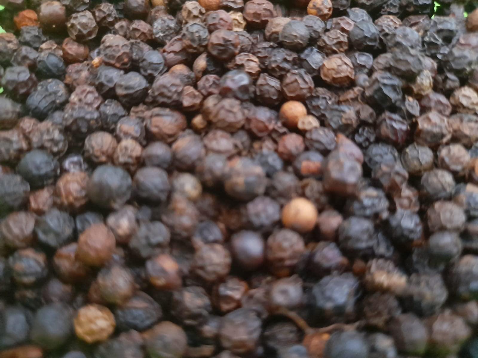 Generic Black Pepper Kerala Kali Mirch Kurumulag 200GM (Large)