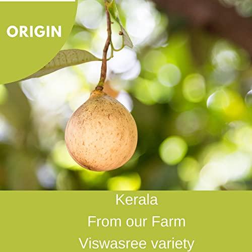 BOTLEAF BOTLEAF Nutmeg Powder 200 GMS Idukki variety Derived from mature kernels of Nutmeg from our farm Kerala Origin Jaiphal Jaifal 200gm