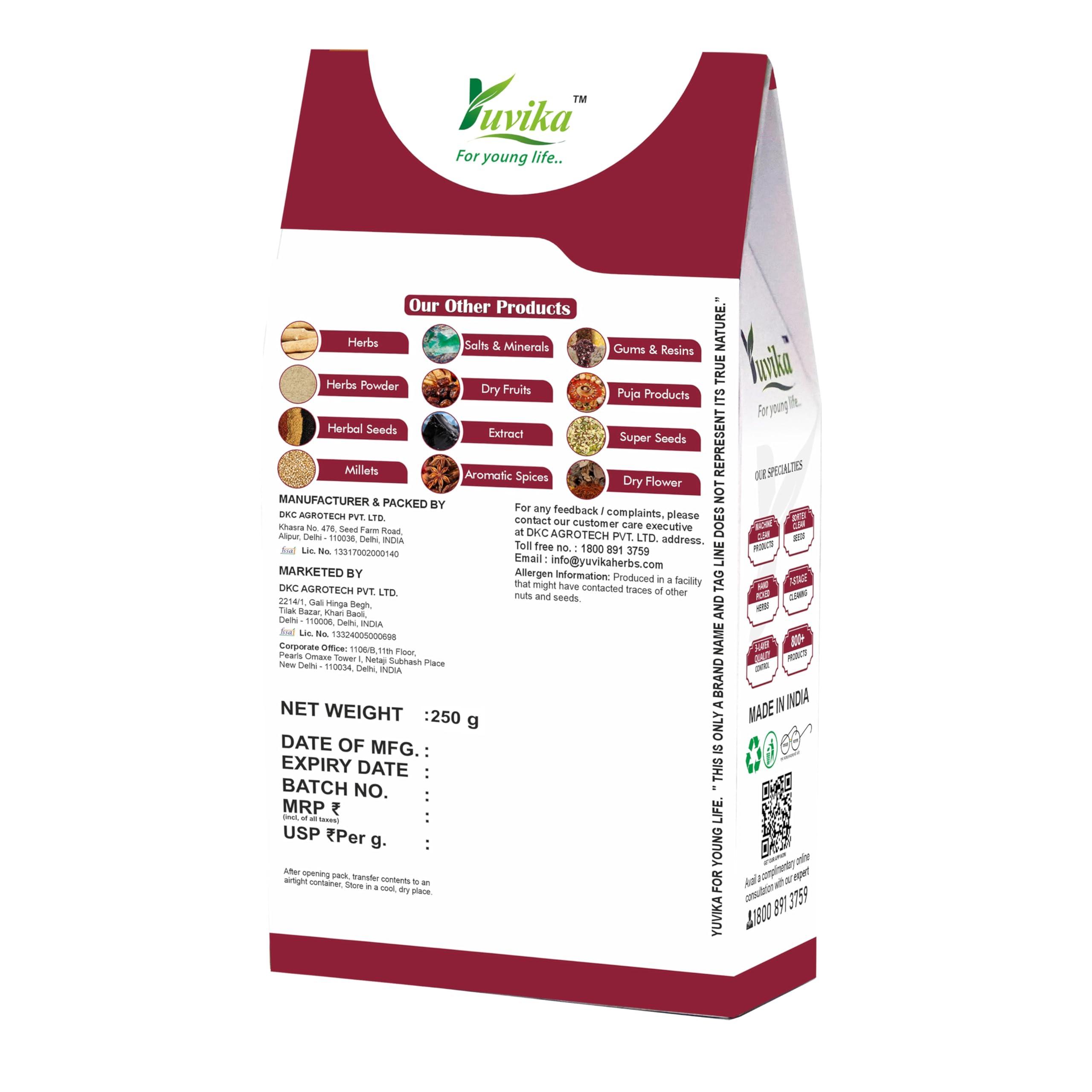 Yuvika Vijaysar - Indian Kino - Bijasal - Asana - Pterocarpus Marsupium 250 Grams