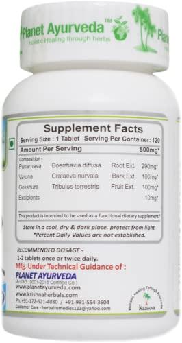 Planet Ayurveda Planet Ayurveda Water-Ex Tablets, 120 Tablets