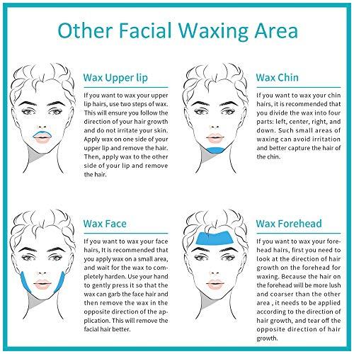 HERBDIVA Herbdiva Katori Facial Wax Aloe Vera, 80g (Pack of 4)