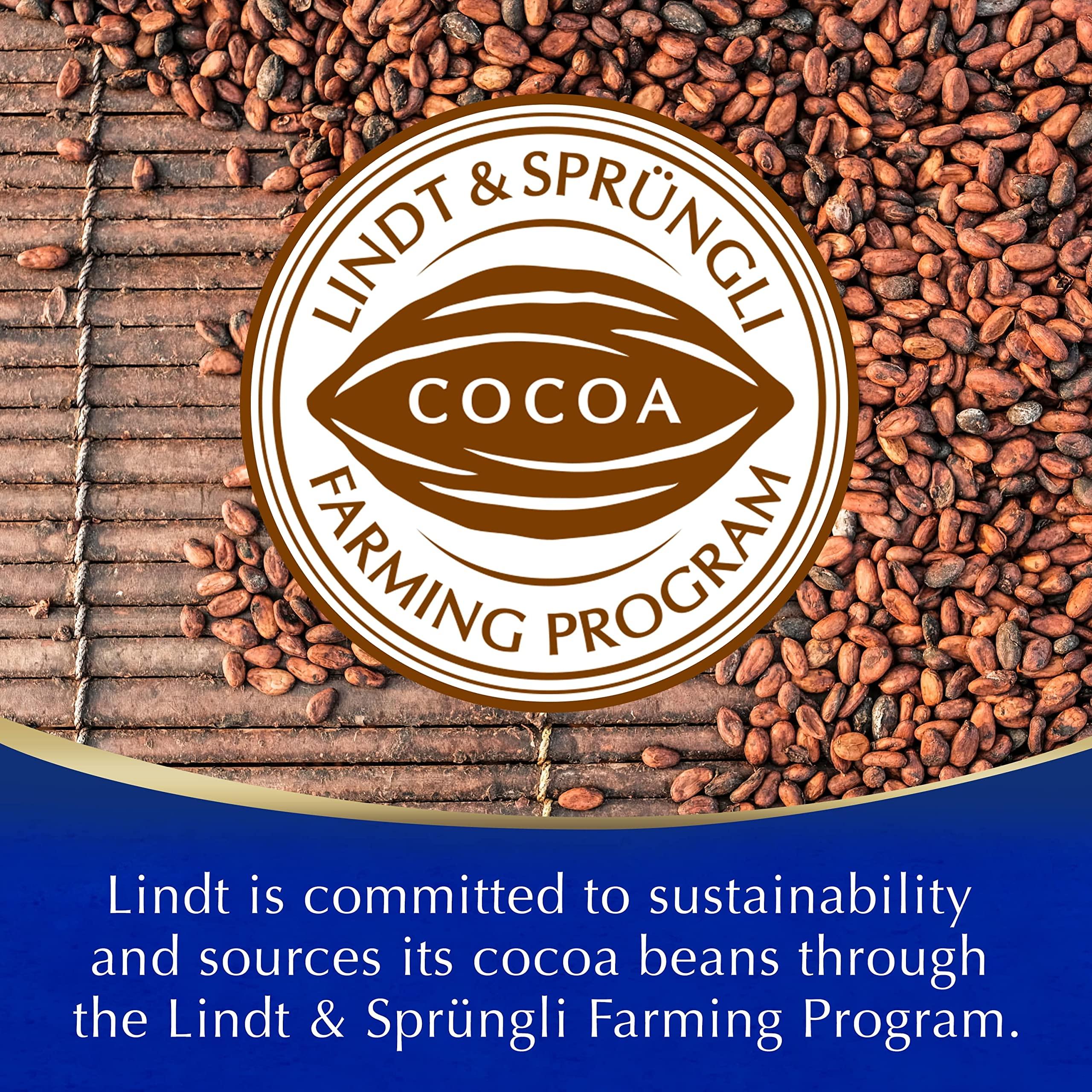 Lindt Lindt Hot Chocolate Made with Lindt Chocolate, 10.58 oz 300 g