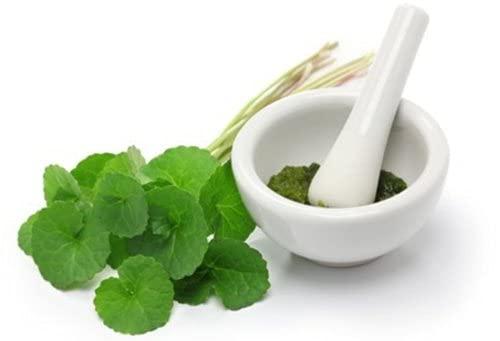 VS Products VS Products Vallarai Powder, 700g, Centella Asiatica, Gotu Kola Powder, Pennywort, Brahmi Booti, Saraswati, Vallarai keerai Powder, (pack of 7 x 100g)