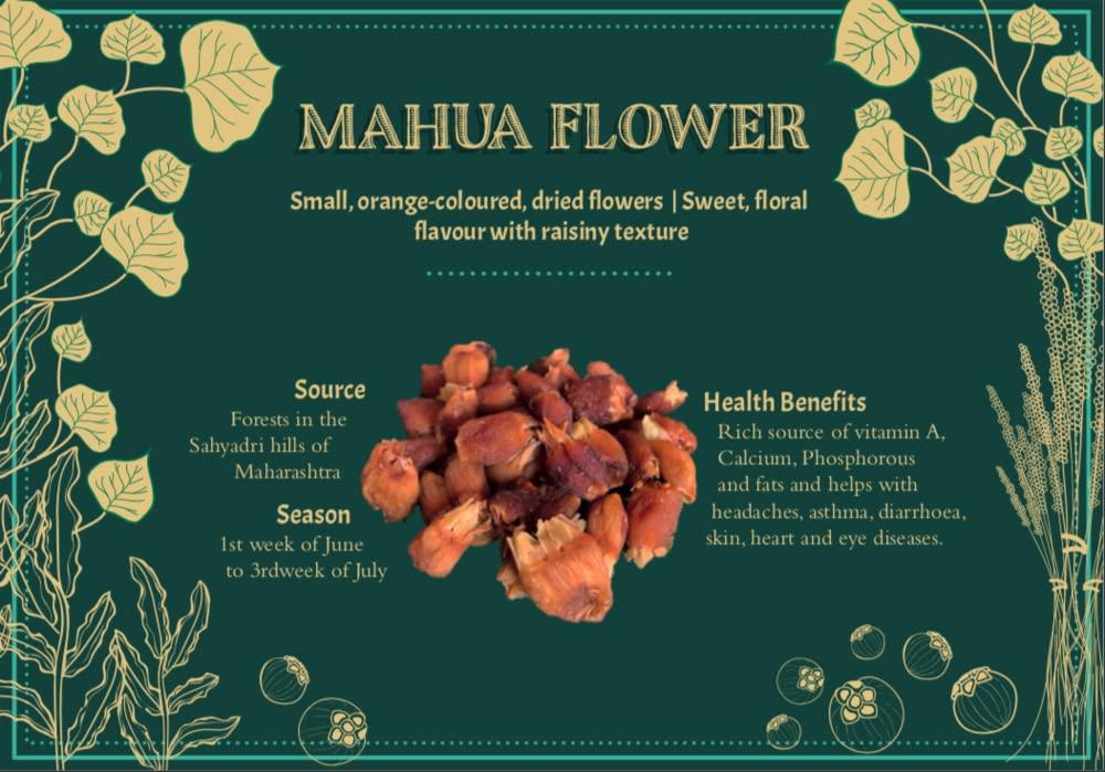 BANDHAL BANDHAL Mahua Flower Dried 900 Gm. (Madhuca Longifolia) Phool Mahua - Mahuya Flower - Madhuca Indica Mahua Fruit From Village Tree