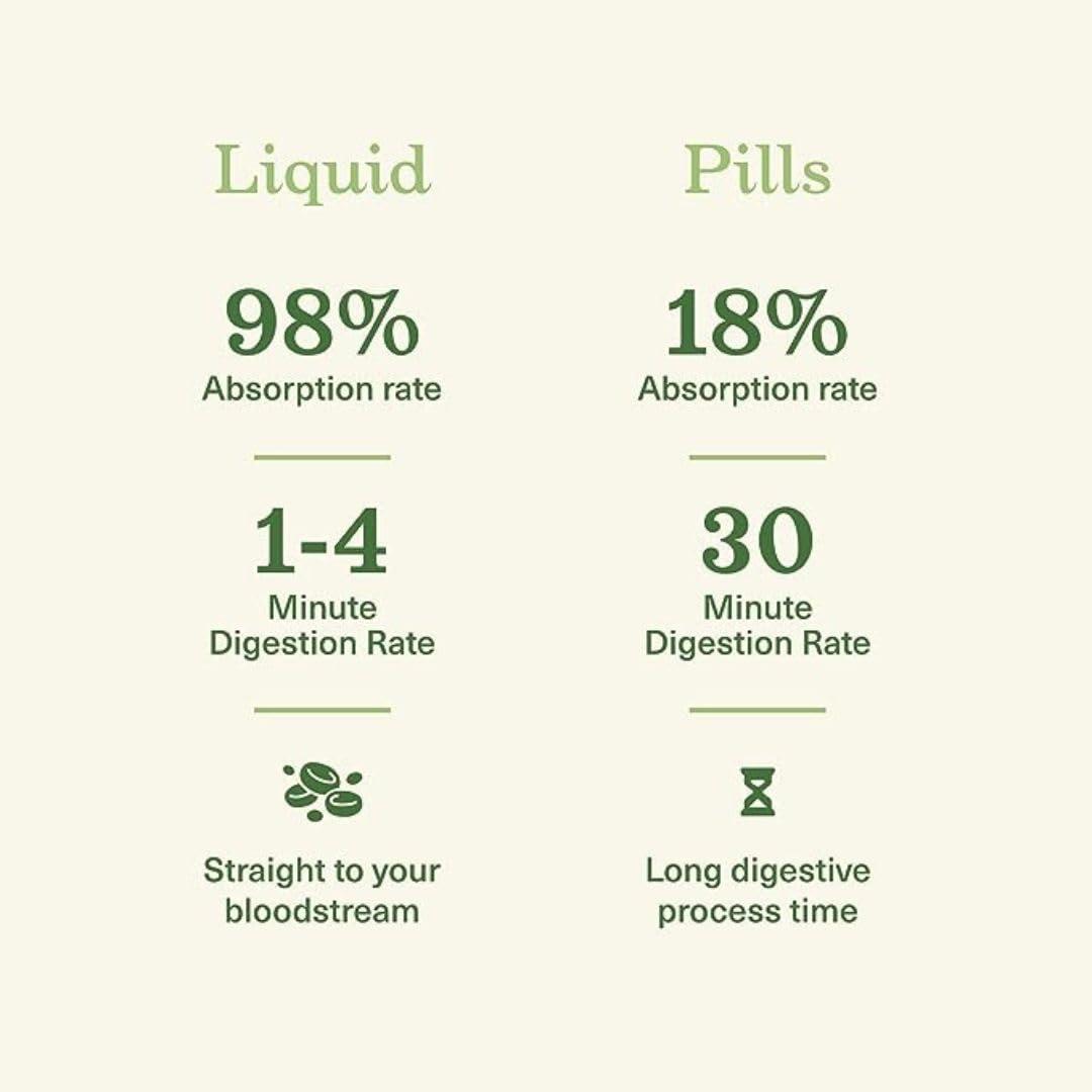 Cipzer Cipzer Sharbat Buzoori Motadil, Supports liver health and Helps with fatty liver, Improve digestive system & Strong immunity system | - 200 ml