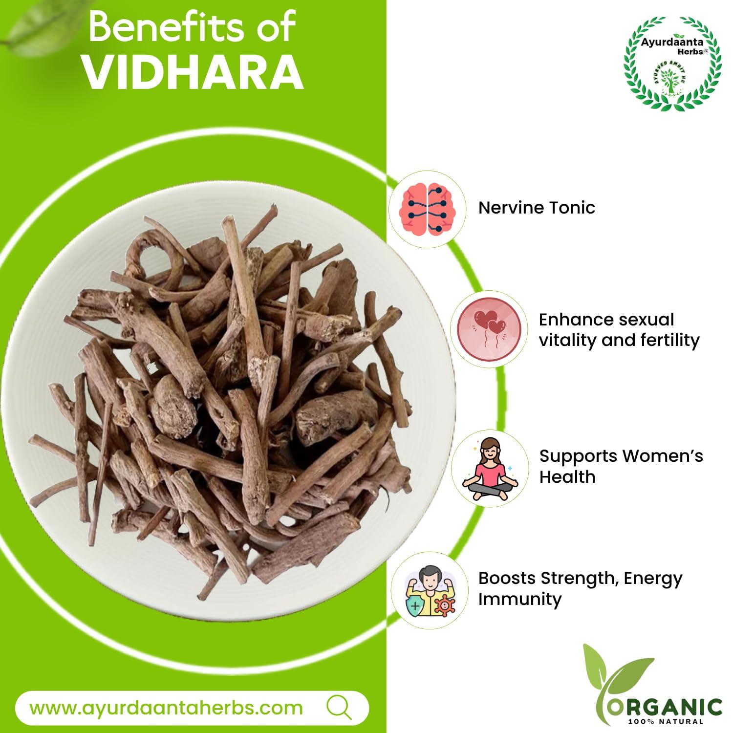 Ayurdaanta Herbs Ayurdaanta Herbs - Vidhara | Vidhara mool | Bidhara Lakdi | Vidhara Root | Vidhara lakdi | Bidhara Wood | Elephant Creeper | | (100Gr)