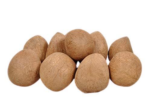 Nutrilin Nutrilin Dry Nariyal Whole Coconut | Sabut Gota | Khopra | Copra (Medium Size) (5)