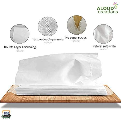 ALOUD CREATIONS ALOUD CREATIONS Facial Tissue Refill Pack | Car Tissue Refill | Disposable Facial Tissues | Travel Size Pack for Car & Purse | 2 Ply | 100 Pulls in Each Packet | Pack of 24 | Total 2400 Pulls