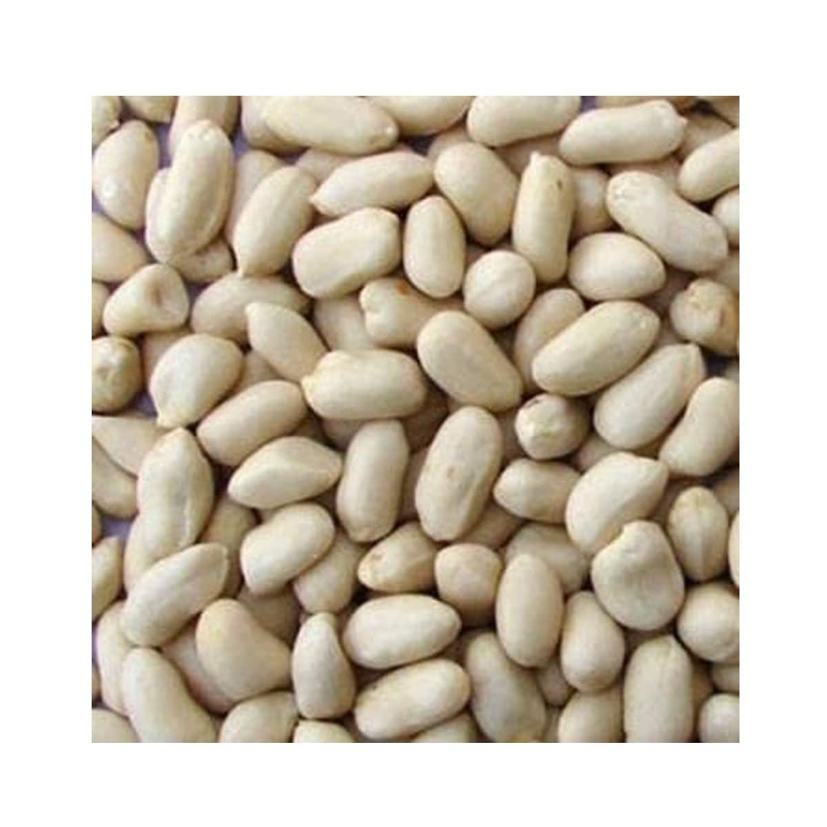 Avenn Avenn Jumbo Salted Peanuts | Gujrat Special Roasted Mungfali | Jumbo Groundnut Singdana Seed | Salted Sing with Husk | Fresh Grade A Bharuch Khari Sing Skin Removed (Peeled Skin, 600 GM)
