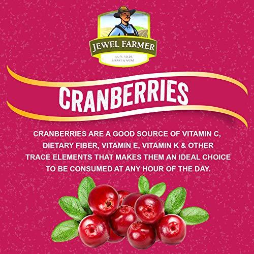 JEWEL FARMER JEWEL FARMER American Dried Cranberries, Gluten Free, Antioxidants, Vitamin & Dietary Fiber Rich Pack of Unsulfured, Ready to Eat Dry Cran Berries (100g)