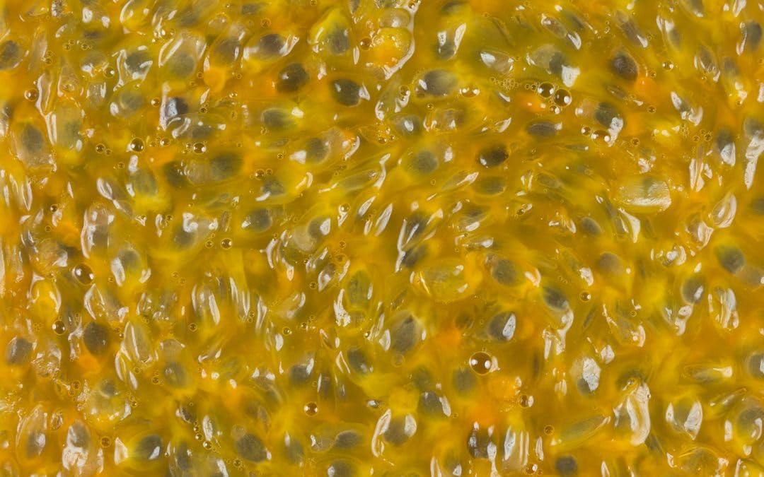 Generic Midday Kerala Passion Fruit Concentrate, | Passion fruit pulp with seeds | Sugarless | (100 ml)