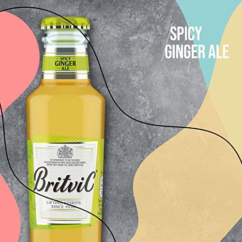 Britvic Britvic Ginger Ale, 200 ml