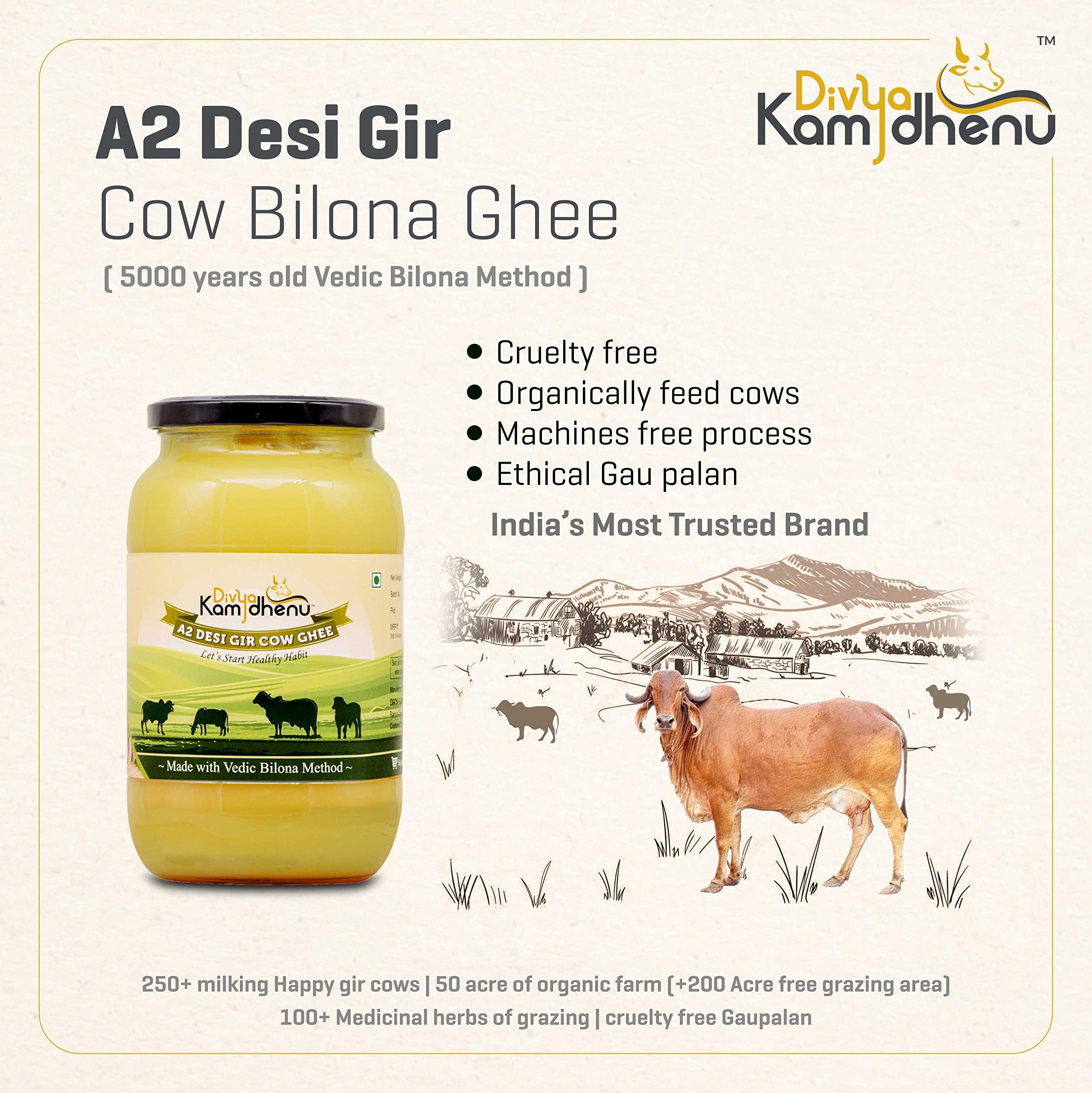 DIVYA KAMDHENU Divya Kamdhenu Cow A2 Ghee Cream Bilona Method (1L) Gir Cow Ghee, Organic, Grassfed, Cultured, Traditional Ghee, Desi Cow Ghee, Glass Bottle, 1 Litre Ghee 100% Pure Non GMO